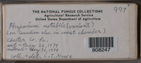 Image Associated With the Occurence